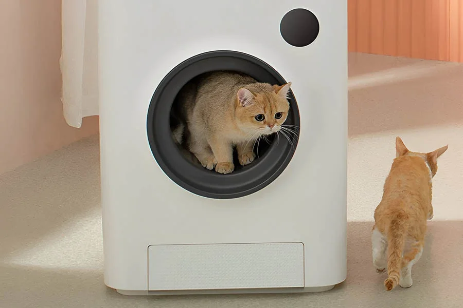 smell free litter box